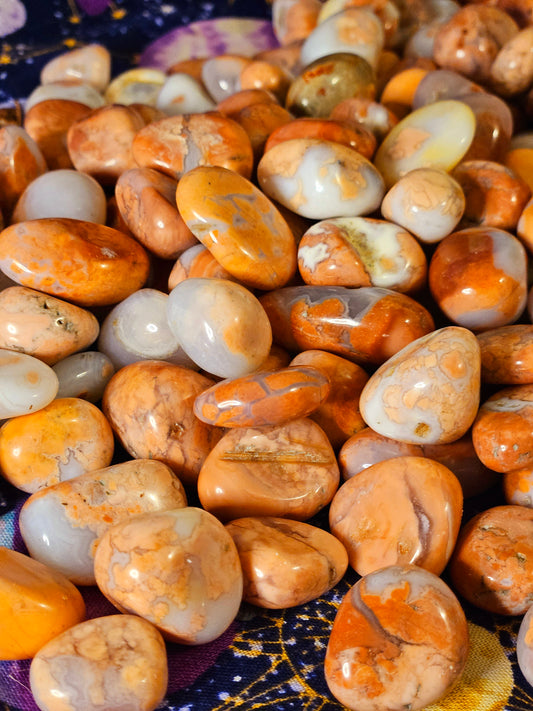 Sakura Flower Agate Tumble 5pc